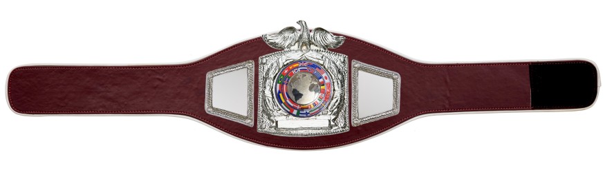 PROEAGLE SILVER WORLD FLAGS CHAMPIONSHIP BELT - PROEAGLE/S/FLAGS - AVAILABLE IN 6+ COLOURS